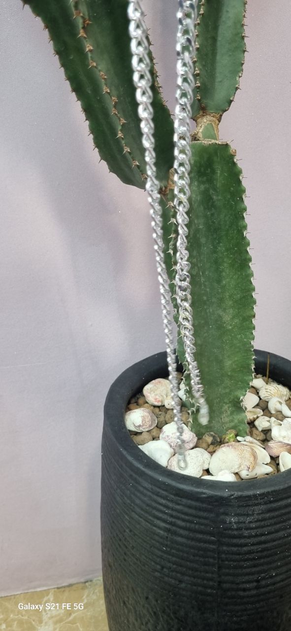 بند عینک زنجیر  کارتیر نقره ای